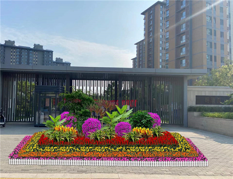 北京望京綠植租擺北京國貿(mào)綠植租擺北京酒仙橋綠植租擺公司